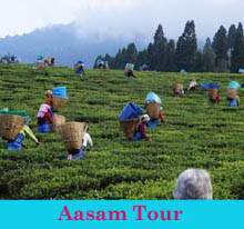 ASSAM TOUR